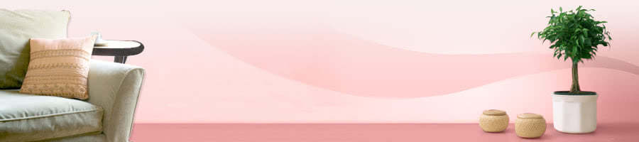 �����̔�N�O���������ꂽ�o�R